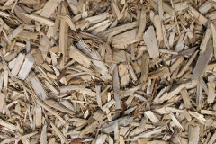 biomass boilers Forest Mill